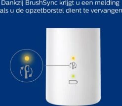 Philips Sonicare ProtectiveClean 4300 HX6800/35 - Elektrische Tandenborstel - Roze & Zwart -Mondelinge Benodigdheden Winkel 1200x1040