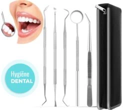 Tandarts Setje - Professioneel - Tandsteen Verwijderaar – Mondspiegel – Tandartshaakje – Tandsteenhaakje - Gebitsverzorging – Inclusief Luxe Etui - 6-delig - RVS