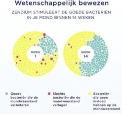 Zendium Tandvlees Protect Tandpasta - 12 X 75 Ml - Voordeelverpakking -Mondelinge Benodigdheden Winkel 1200x1120 1