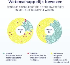 Zendium Classic Tandpasta - 12 X 75 Ml - Voordeelverpakking -Mondelinge Benodigdheden Winkel 1200x1122 1