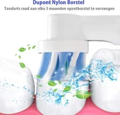 ARENO® 24 Universele Opzetborstels - Geschikt Voor Oral-B En Braun -Mondelinge Benodigdheden Winkel 1200x1145 2