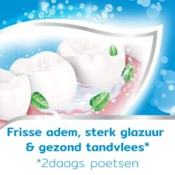 Aquafresh Freshmint - Tandpasta - Voor Een Frisse Adem - Voordeelverpakking - Recyclebare Plastic Tube En Dop -5 X 75ml -Mondelinge Benodigdheden Winkel 1200x1200 458
