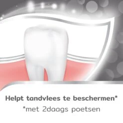 Aquafresh Tandsteen Controle Tandpasta Voor Gezonde Tanden Voordeelverpakking 12x75ml, Recyclebare Plastic Tube En Dop -Mondelinge Benodigdheden Winkel 1200x1200 508