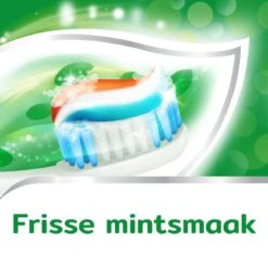 Aquafresh Anti Cariës Tandpasta Voor Gezonde Tanden, Voordeelverpakking 12- Pack, Recyclebare Plastic Tube En Dop 21 Aquafresh Anti Cariës Tandpasta Voor Gezonde Tanden, Voordeelverpakking 12- Pack, Recyclebare Plastic Tube En Dop -Mondelinge Benodigdheden Winkel 1200x1200 530