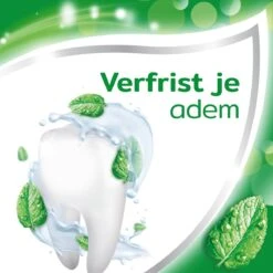 Aquafresh Anti Cariës Tandpasta Voor Gezonde Tanden, Voordeelverpakking 12- Pack, Recyclebare Plastic Tube En Dop 22 Aquafresh Anti Cariës Tandpasta Voor Gezonde Tanden, Voordeelverpakking 12- Pack, Recyclebare Plastic Tube En Dop -Mondelinge Benodigdheden Winkel 1200x1200 531