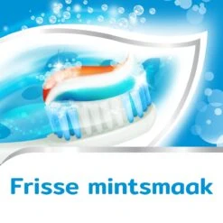Aquafresh Freshmint 3in1 Tandpasta Voor Een Frisse Adem Voordeelverpakking 12x75ml, Recyclebare Plastic Tube En Dop -Mondelinge Benodigdheden Winkel 1200x1200 564