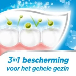 Aquafresh Freshmint 3in1 Tandpasta Voor Een Frisse Adem Voordeelverpakking 12x75ml, Recyclebare Plastic Tube En Dop -Mondelinge Benodigdheden Winkel 1200x1200 566