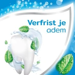 Aquafresh Freshmint 3in1 Tandpasta Voor Een Frisse Adem Voordeelverpakking 12x75ml, Recyclebare Plastic Tube En Dop -Mondelinge Benodigdheden Winkel 1200x1200 572