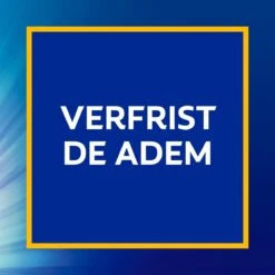 Colgate® Colgate Caries Protection Tandpasta - 6 X 75 Ml - Voordeelverpakking -Mondelinge Benodigdheden Winkel 1200x1200 612