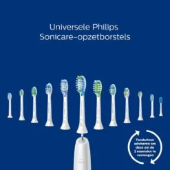 Philips Sonicare ProtectiveClean 4300 HX6800/35 - Elektrische Tandenborstel - Roze & Zwart -Mondelinge Benodigdheden Winkel 1200x1200 72