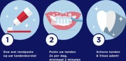 Prodent Charcoal Whitening & Detox Tandpasta - 12 X 75 Ml - Voordeelverpakking -Mondelinge Benodigdheden Winkel 1200x576