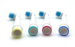 Merkloos Opzetborstels - Universele Geschikt Voor Braun / Oral-B - Set Van 24 Stuks -Mondelinge Benodigdheden Winkel 1200x747