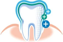 Elmex Tandpasta Sensitive 12 X 75ml - Voordeelverpakking -Mondelinge Benodigdheden Winkel 1200x794 1