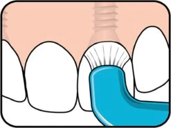 TePe Compact Tuft - Single Tufted Borstel - Tandenborstel 25 TePe Compact Tuft - Single Tufted Borstel - Tandenborstel -Mondelinge Benodigdheden Winkel 1200x900 7