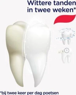 Prodent Whitening System Tandpasta - 12 X 75 Ml - Voordeelverpakking -Mondelinge Benodigdheden Winkel 963x1200 1
